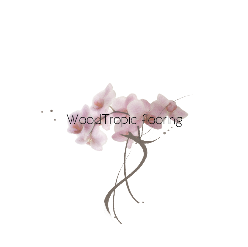 Logo Design by Nat Boe for this project | Design #2826085