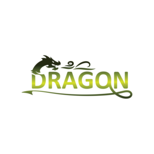 DRAGON | Logo Design by Sarastudioo