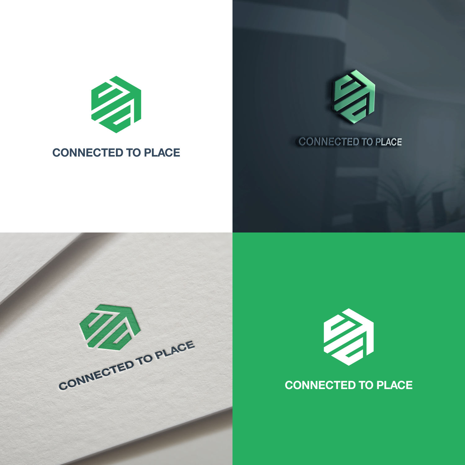 Logo Design by Optimistic_Studio for Connected to Place | Design #18643431