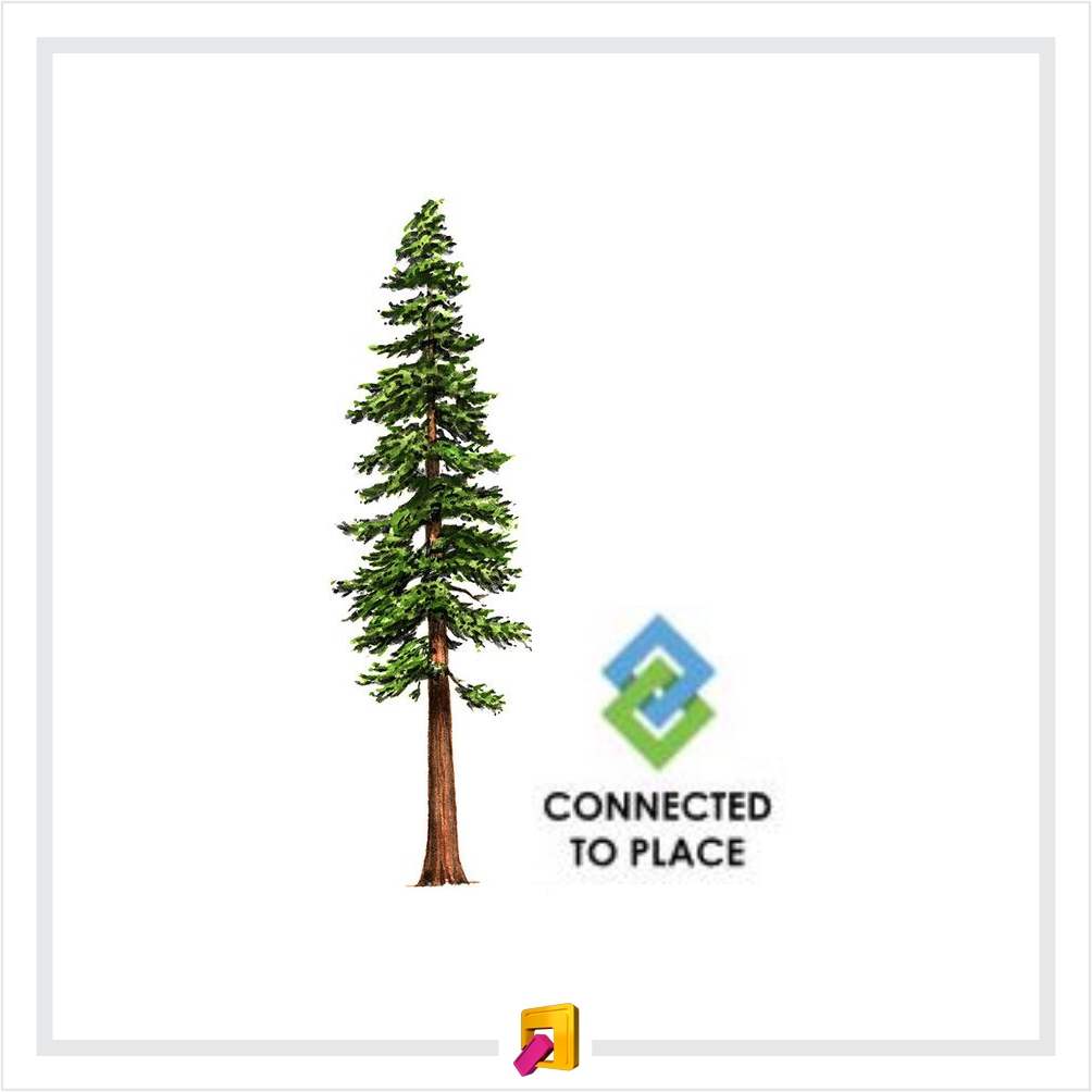 Logo Design by Sergio Medina for Connected to Place | Design #18652338