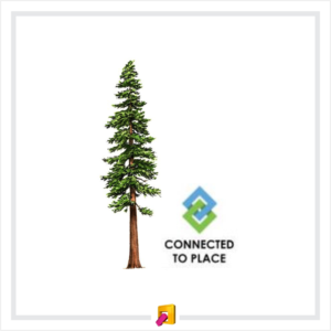 Logo Design by Sergio Medina for Connected to Place | Design #18652338