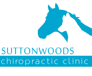 Logo Design by Andy Pham for this project | Design #18679127