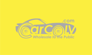 Logo Design by Soul Light for The Car Company | Design: #18535905