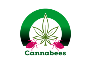 Logo Design by ankid
