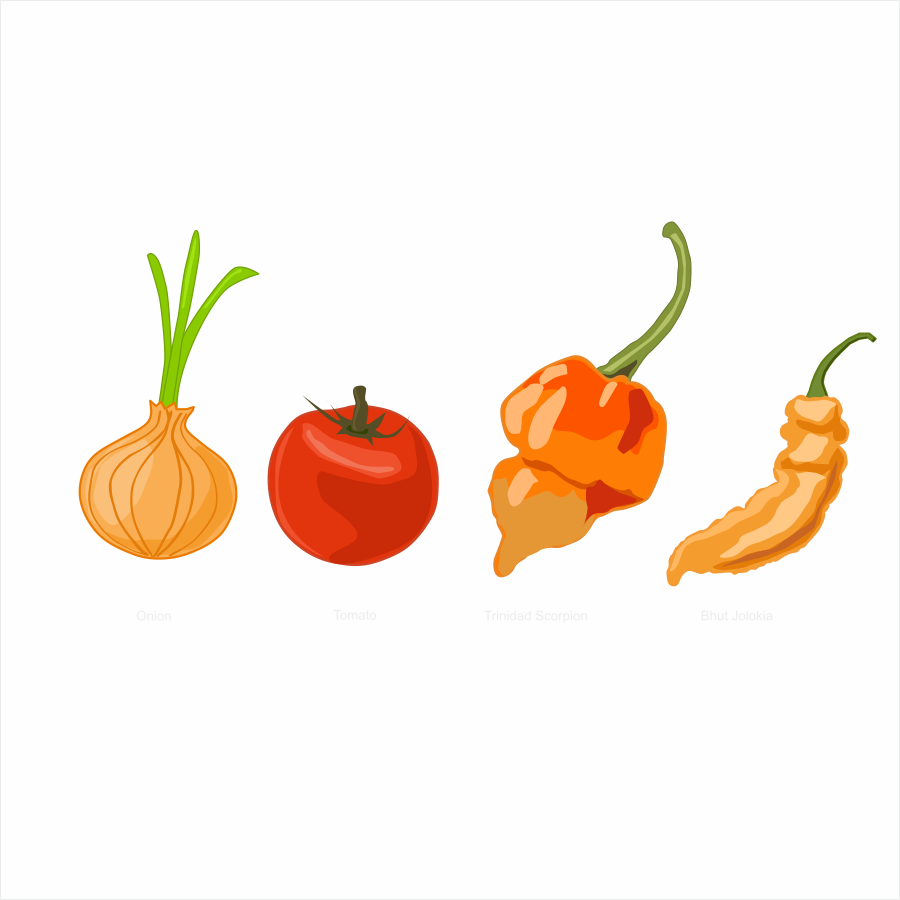 Diseño Vectorizado por zip para este proyecto | Diseño #18672142