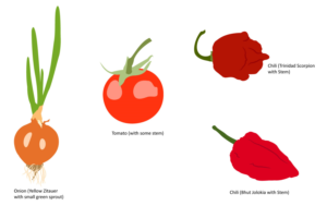 Vector Design by Parul