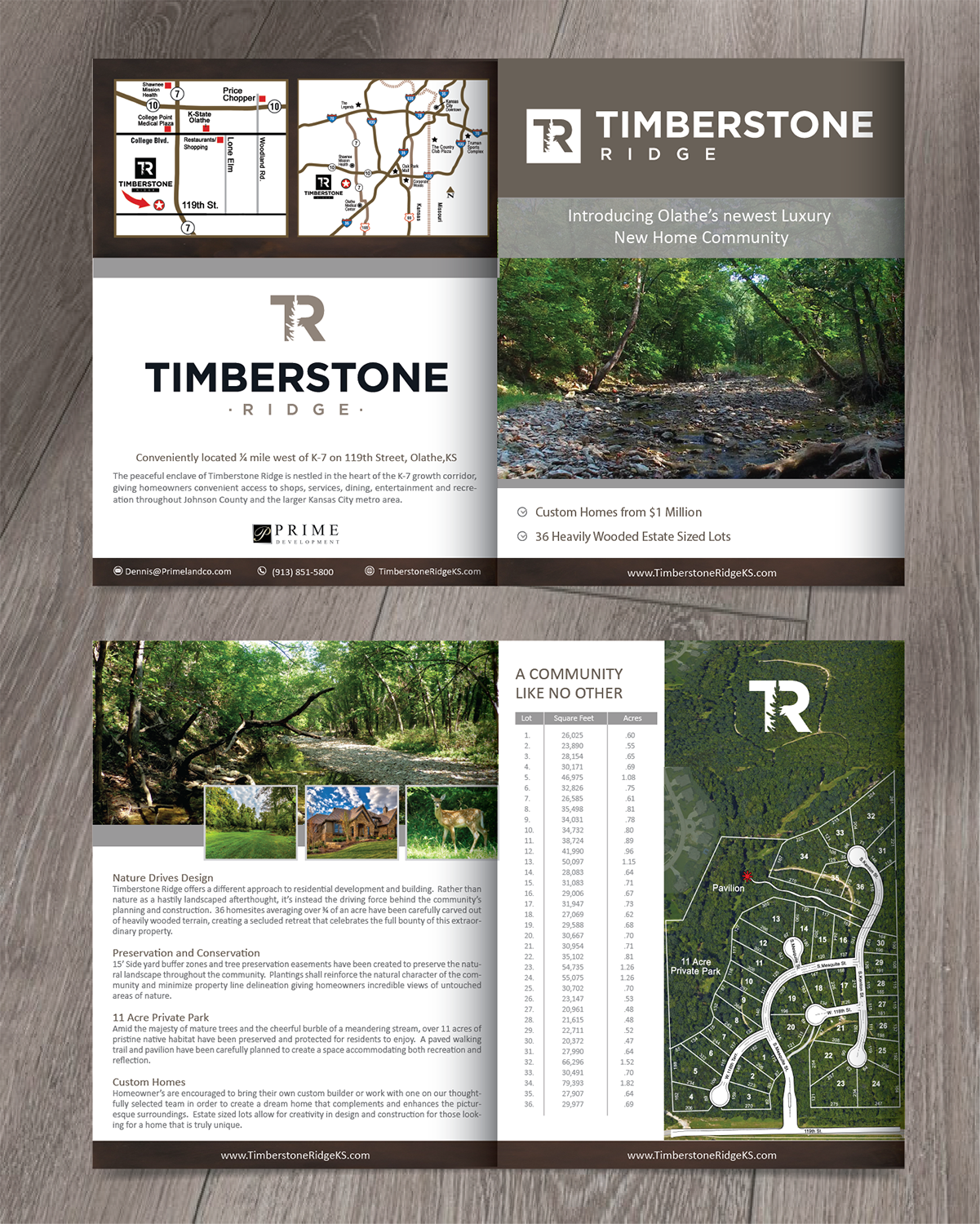 Brochure Design by alex989 for this project | Design #18576782