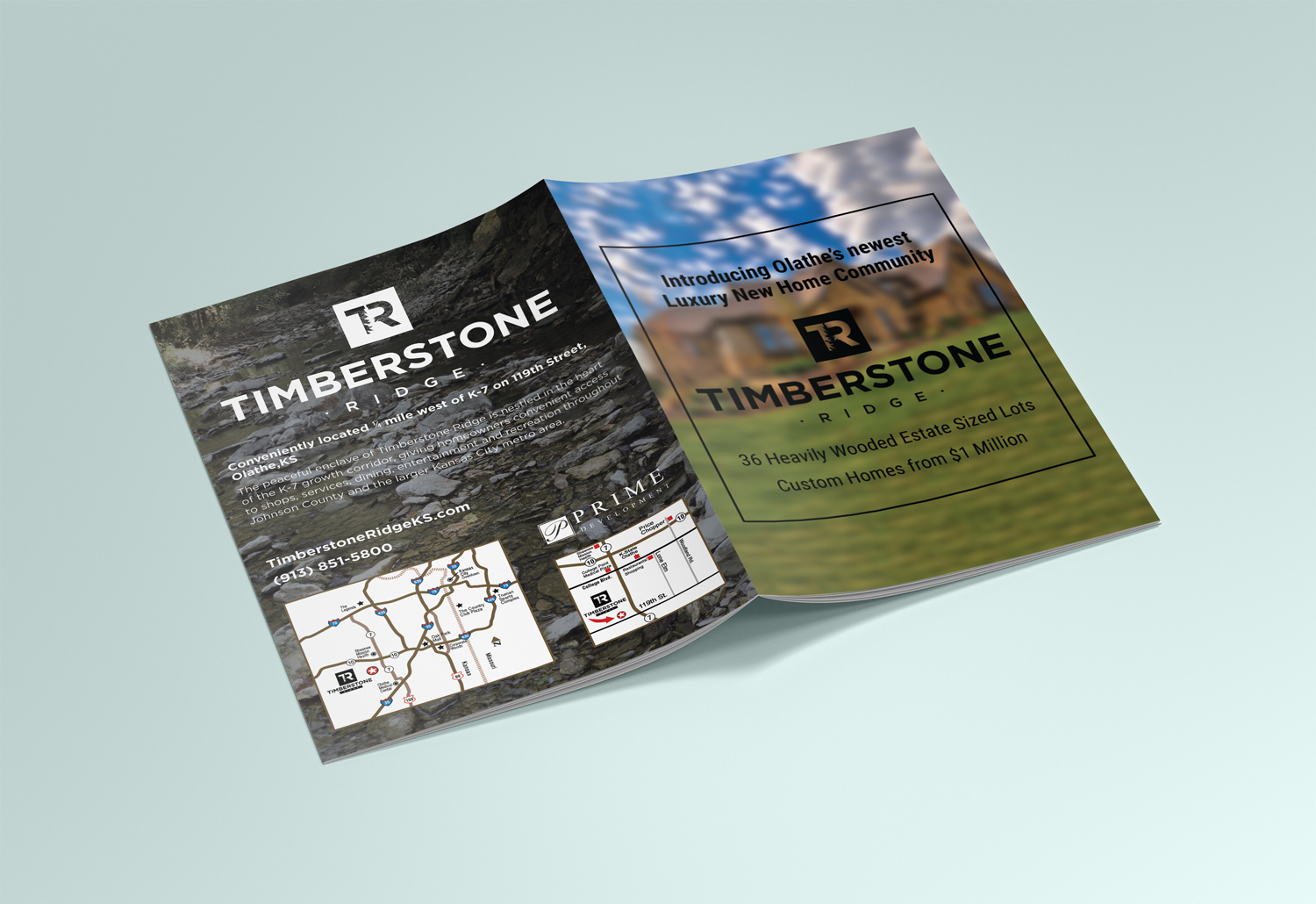Brochure Design by Mahmoud Nasr  for this project | Design #18550168