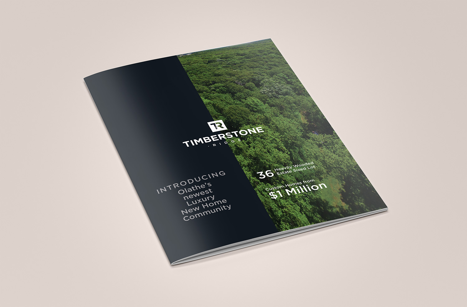 Brochure Design by banedsgn for this project | Design #18539787