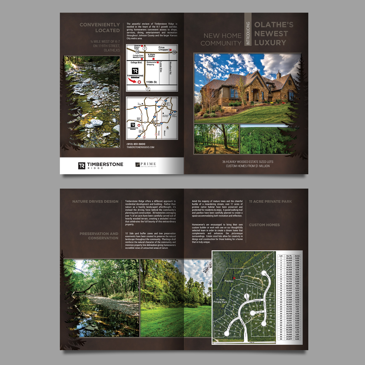 Brochure Design by Ashley Erasmus for this project | Design #18592257