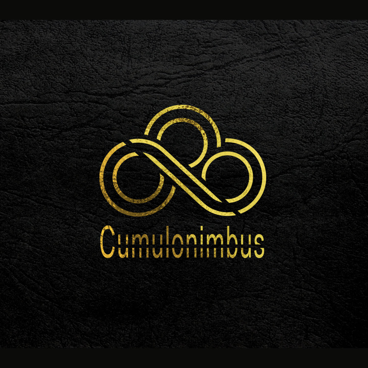 Logo Design by Sarastudioo for this project | Design #18668438