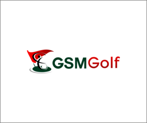 Logo Design by rajasree das
