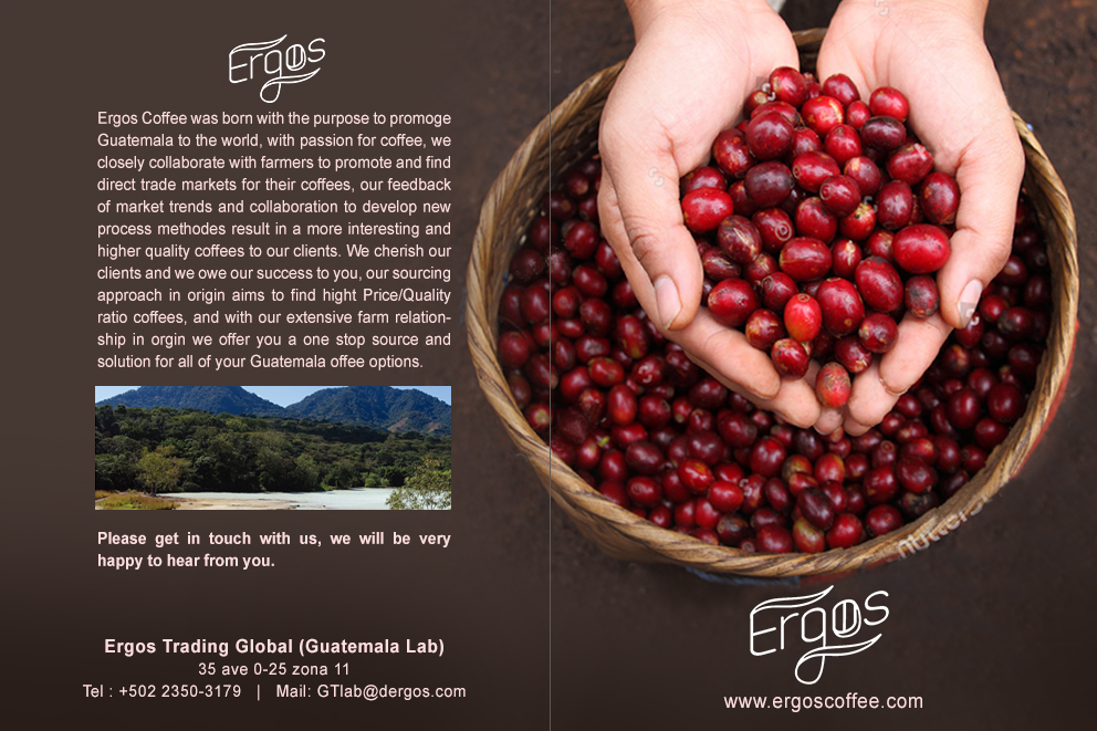 Flyer Design by ColorDrops for ERGOS TRADING CORPORATION LIMITED | Design #18551847