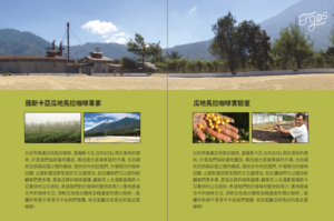 Flyer Design by ColorDrops for ERGOS TRADING CORPORATION LIMITED | Design: #18552862