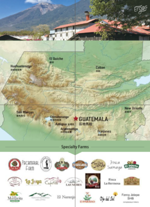 Flyer Design by ColorDrops for ERGOS TRADING CORPORATION LIMITED | Design: #18552986