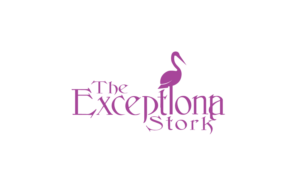 Logo Design by GODDREAMCREATION for Exceptional Stork LLC | Design: #18629647
