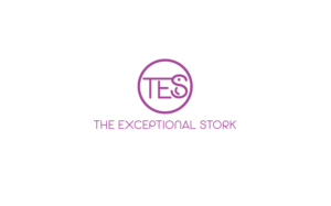 Logo Design by GODDREAMCREATION for Exceptional Stork LLC | Design: #18629648