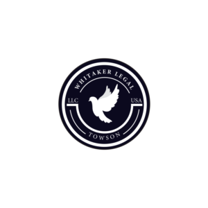 Logo Design by Saraj
