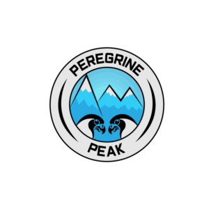 Logo Design by NubDesign