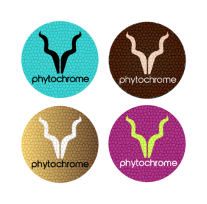 Logo Design by Thomasdesign
