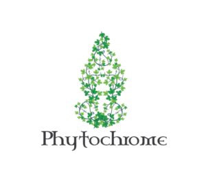Logo Design by jose_luiz
