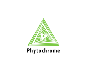 Logo Design by Haja N