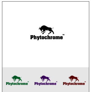 Logo Design by ebrahim elsofany 2