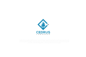 Logo-Design von solidinto für dieses Projekt | Design: #18609079