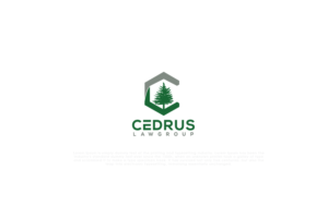 Design de Logo par solidinto pour ce projet | Design : #18623653