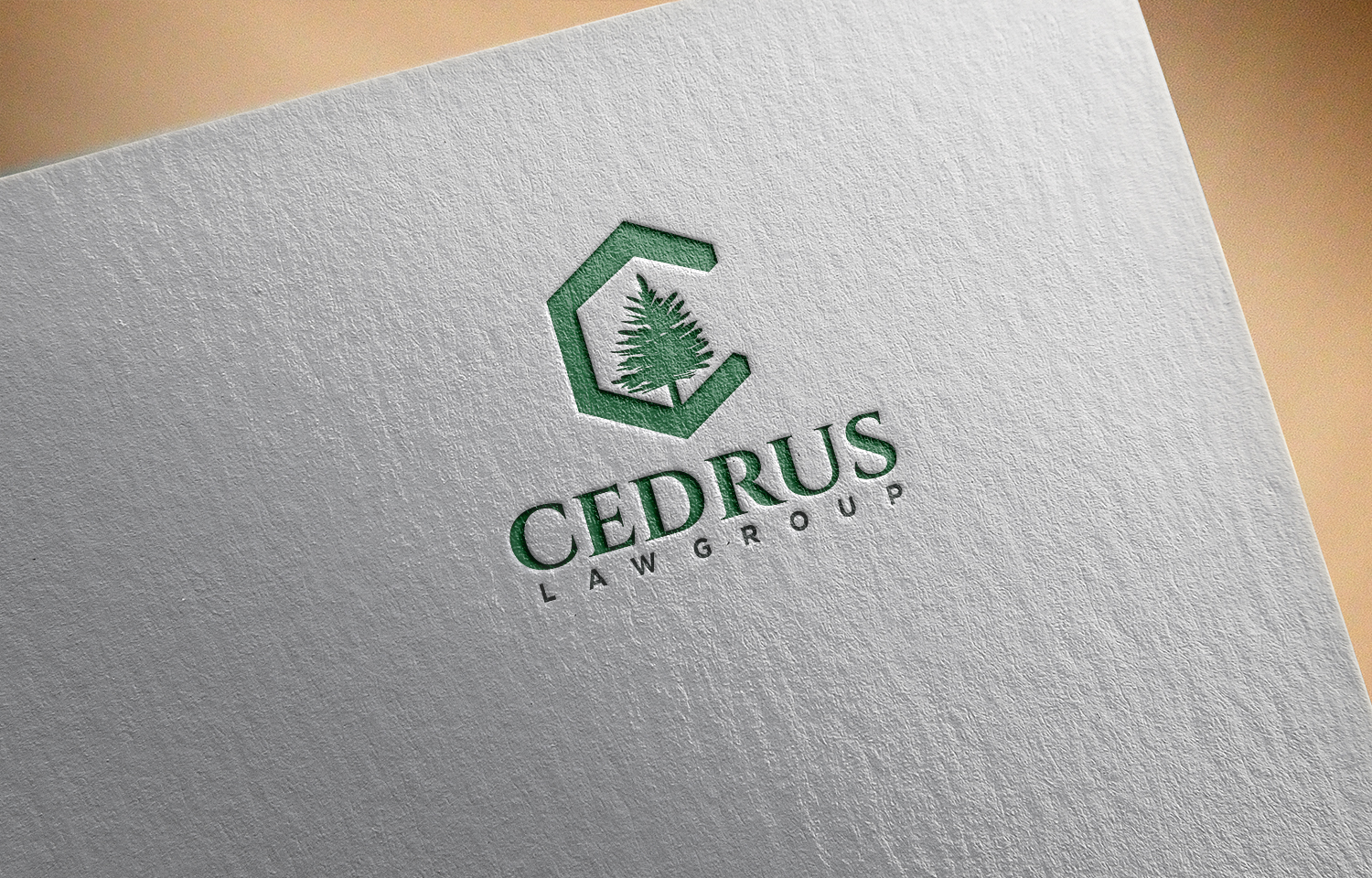 Logo Design by solidinto for this project | Design #18623703
