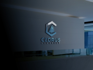 Logo Design by solidinto for this project | Design #18623707