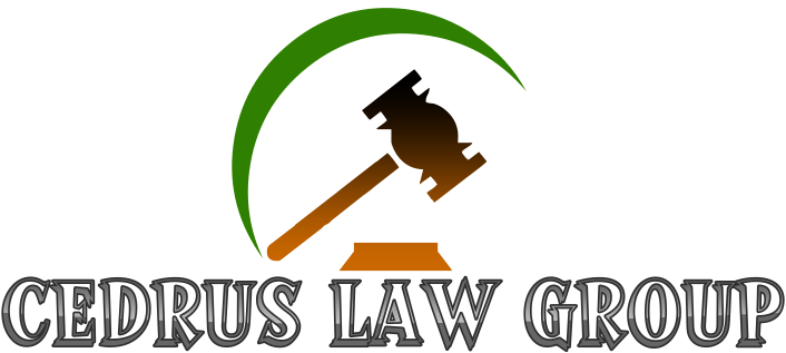 Logo Design by fozia 2 for this project | Design #18660287