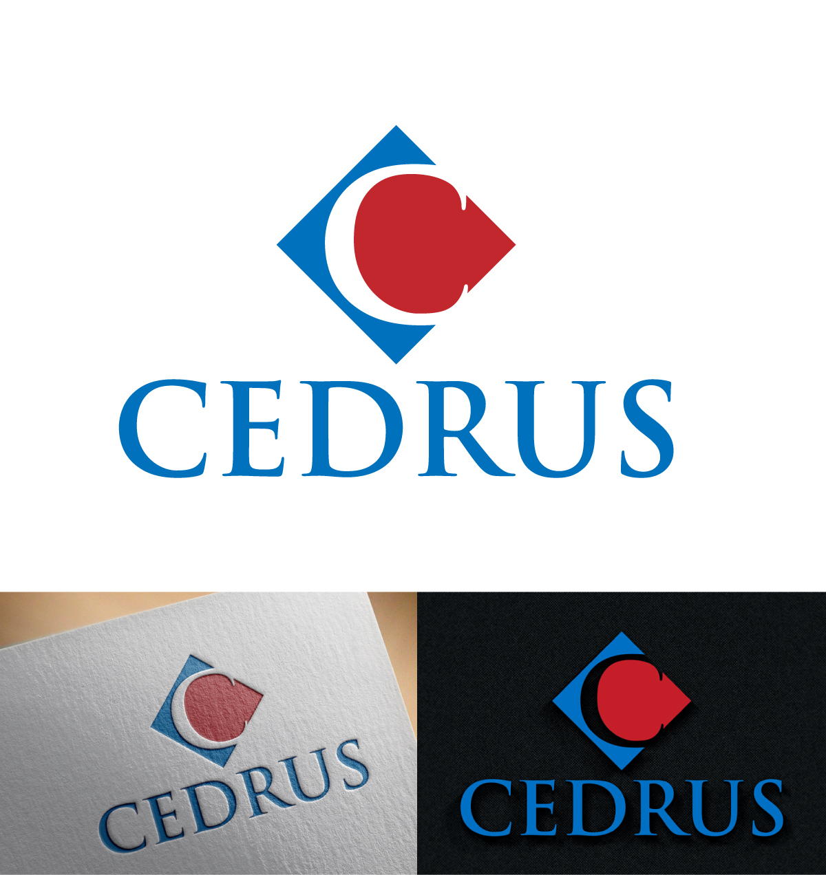 Logo Design by imyounuspathan 2 for this project | Design #18591515