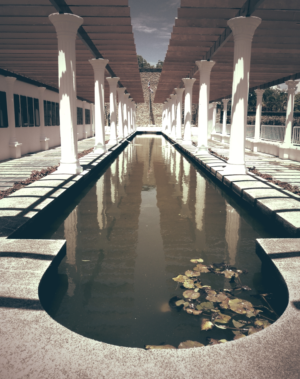 Photography by Stacee C