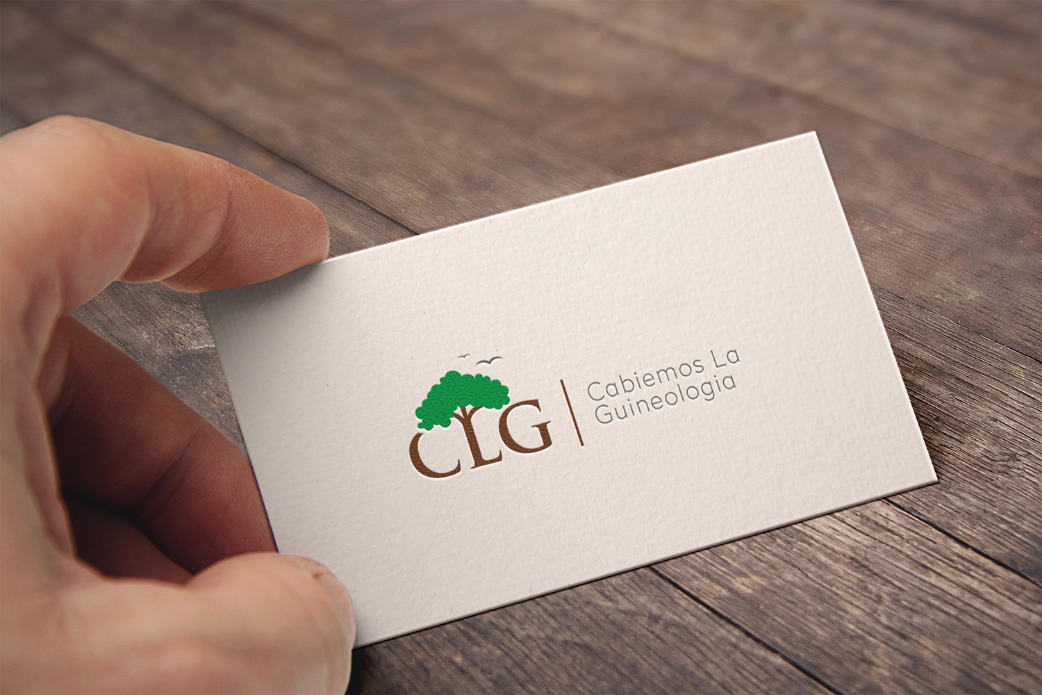 Logo Design by Muhammad Imran 3 for AmoresBile Studio | Design #18583798