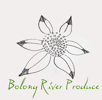 Logo Design by ksenia design for this project | Design #668959