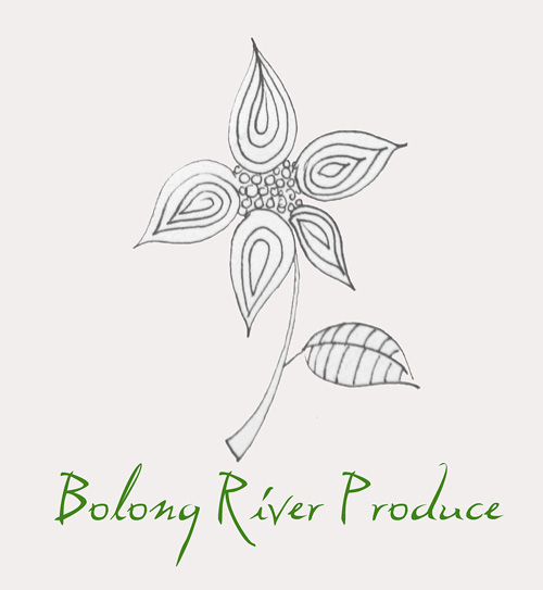 Logo-Design von ksenia design für dieses Projekt | Design #668960