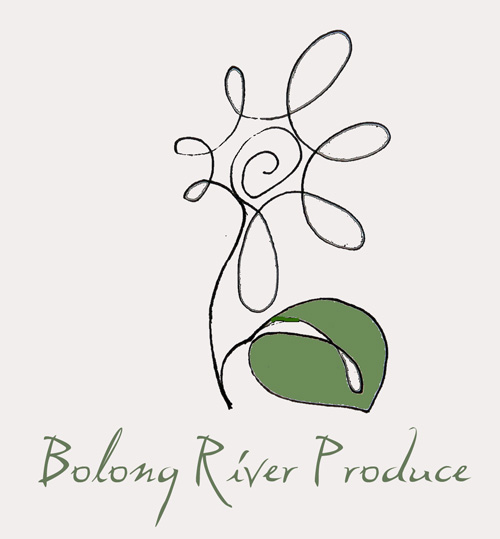 Logo-Design von ksenia design für dieses Projekt | Design #668962