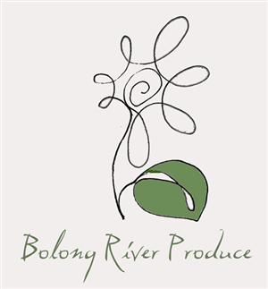 Logo Design by ksenia design for this project | Design: #668962