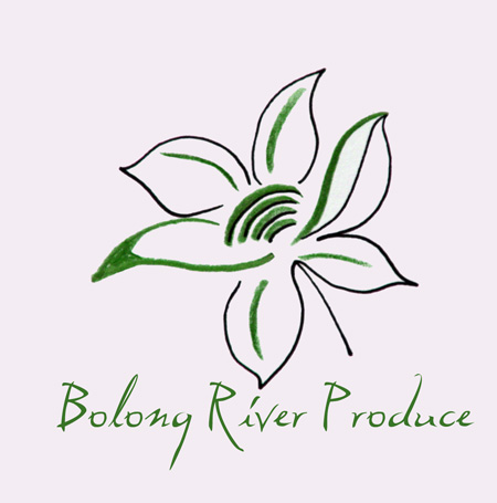 Logo Design by ksenia design for this project | Design #668965