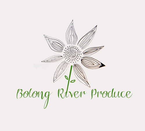 Logo-Design von ksenia design für dieses Projekt | Design #668966