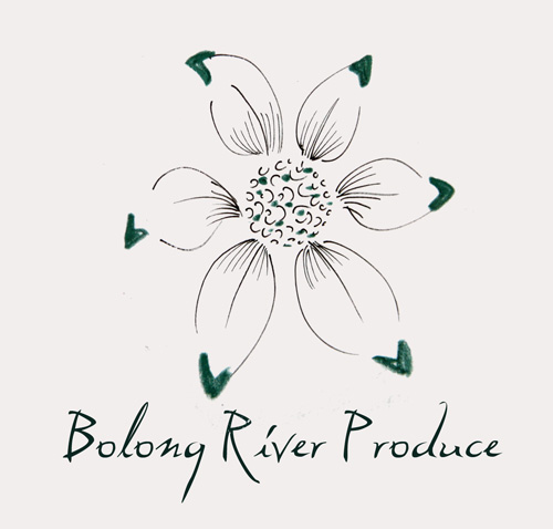 Logo Design by ksenia design for this project | Design #668969