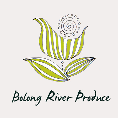 Logo-Design von ksenia design für dieses Projekt | Design #668971