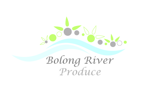 Logo Design by Oasis Designs for this project | Design #662800