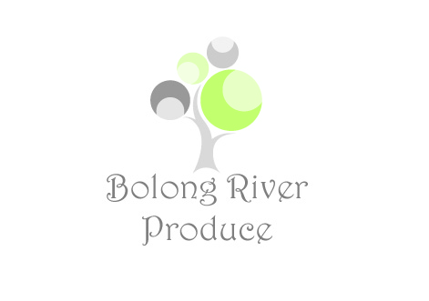 Logo Design by Oasis Designs for this project | Design #664498