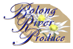 Logo Design by rapzy82