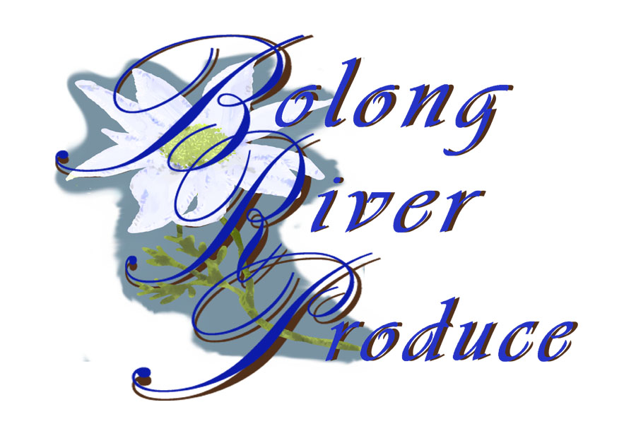 Logo Design by rapzy82 for this project | Design #666162