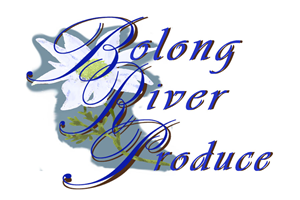 Logo Design by rapzy82 for this project | Design: #666162