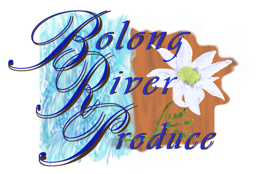 Logo Design by rapzy82 for this project | Design #666165