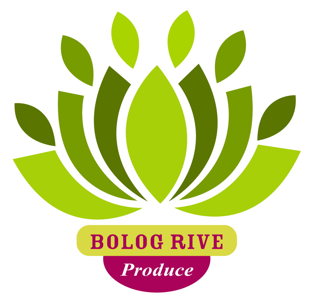 Logo Design by saifulbox for this project | Design #665157